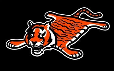 Cincinnati Bengals news, updates, opinion, and analysis - Stripe
