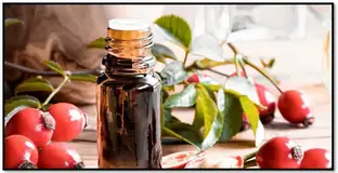 Limpiar los pétalos a fondo con agua y luego agréguelos a un frasco junto con aceite de semilla de . Como Preparar Aceite De Rosa Mosqueta