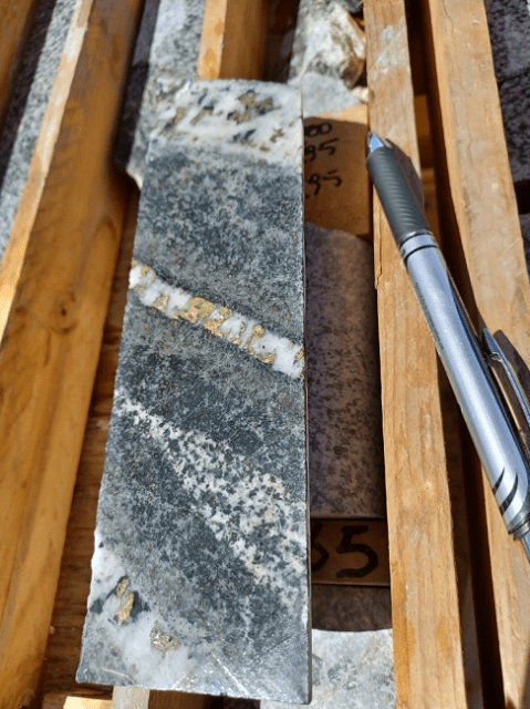 high-grade Lana Corina copper molybdenum project