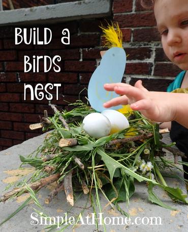 Birds and their Nest Sensory Tray for Preschoolers - Learning Step