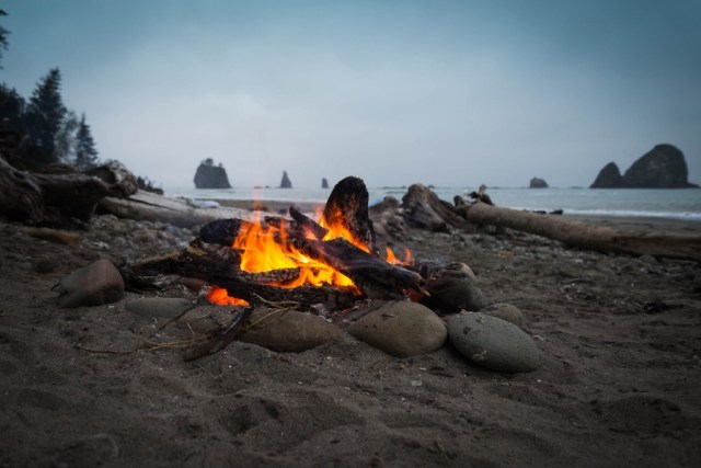 image campfire on the beach