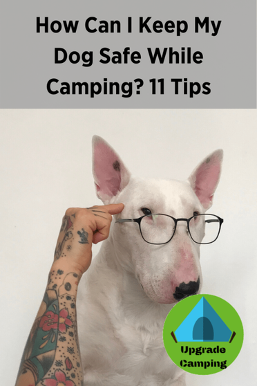 how do i keep my dog cool while camping