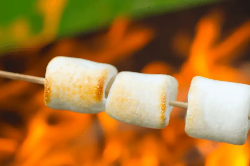 Roast Marshmallows Over A Gas Fire Pit, Can You Roast Marshmallows Over A Fire Pit