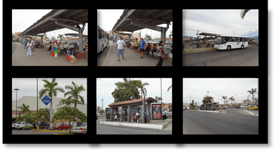 Bus Routes and Bus Fares for Puerto Vallarta