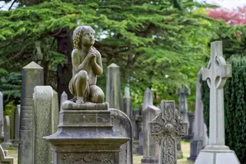 Wausau Area Obituaries July 20 2020 Wausau Pilot Review
