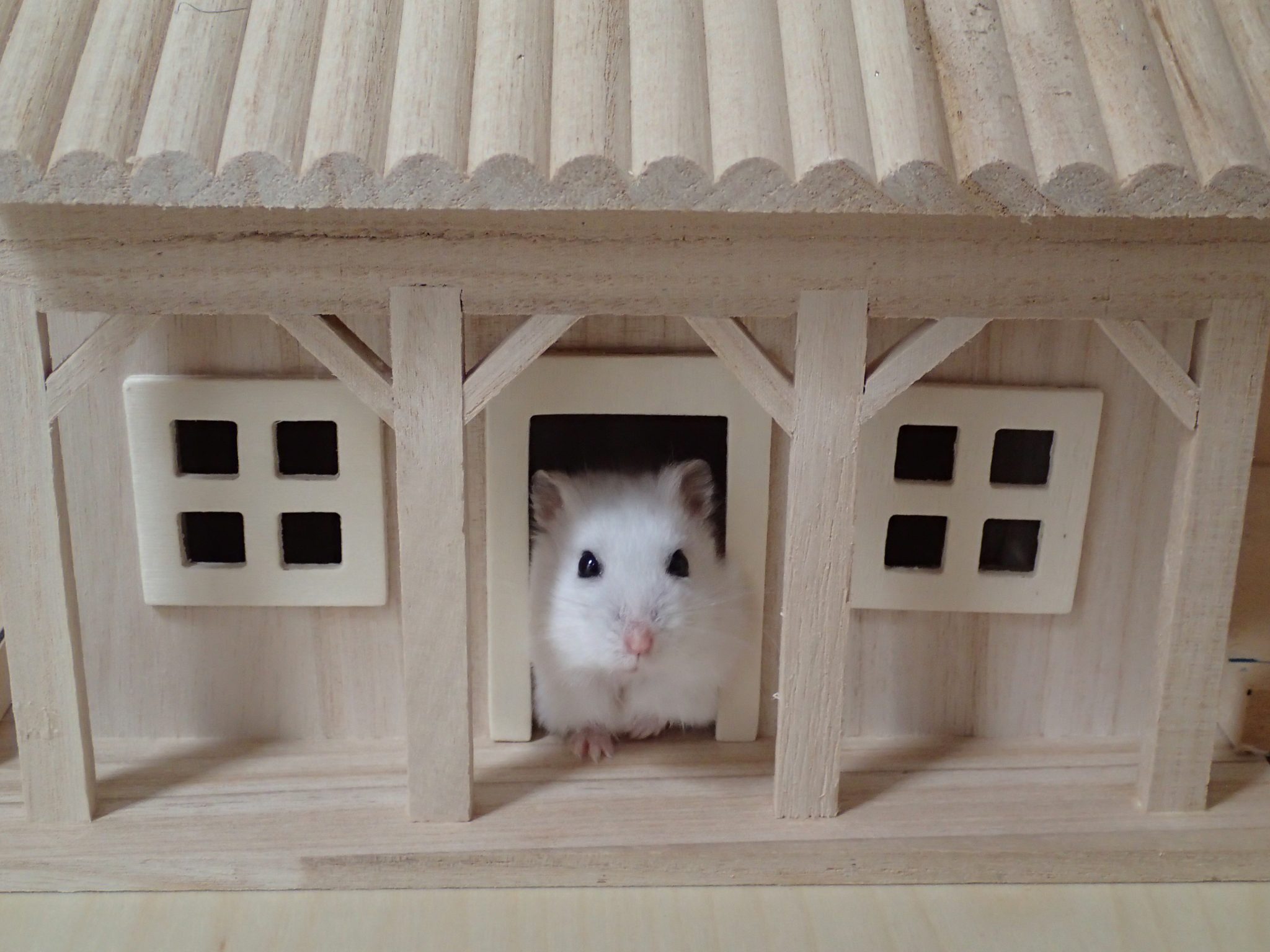 Ikea hotsell hack hamster