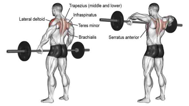Barbell Upright Row