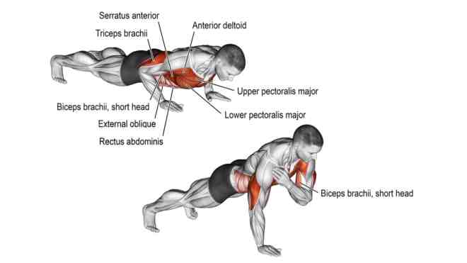Shoulder Tap Push Ups