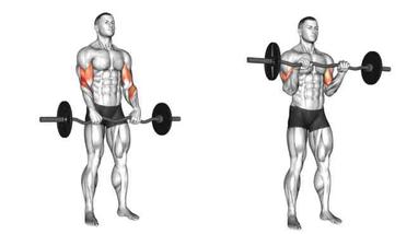 Reverse EZ bar Curl: Muscle Worked, Benefits & Alternate