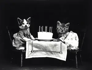 How Old Is My Pet In Dog Years Or Cat Years A Veterinarian