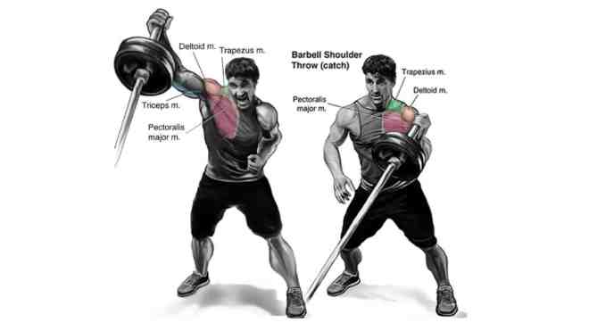 The Landmine Chest Press