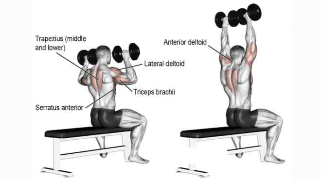 Dumbbell Shoulder Press