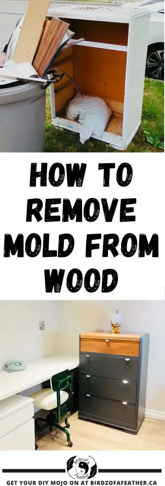 How To Get Smell Out Of Old Furniture, Best Way To Get Smell Out Of Old Dresser
