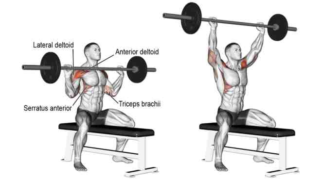 Barbell Shoulder Press