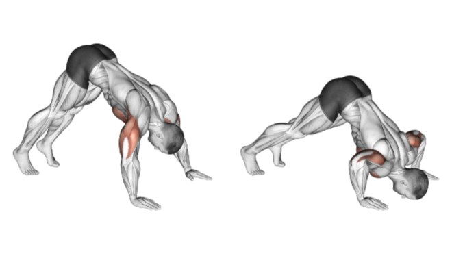 Pike Push Up