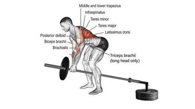 Landmine Row: Muscle Worked, Form, Benefits