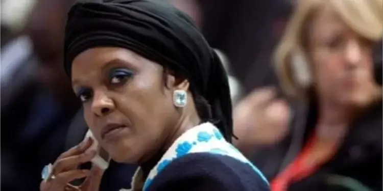 Grace Mugabe and family farms repossessed