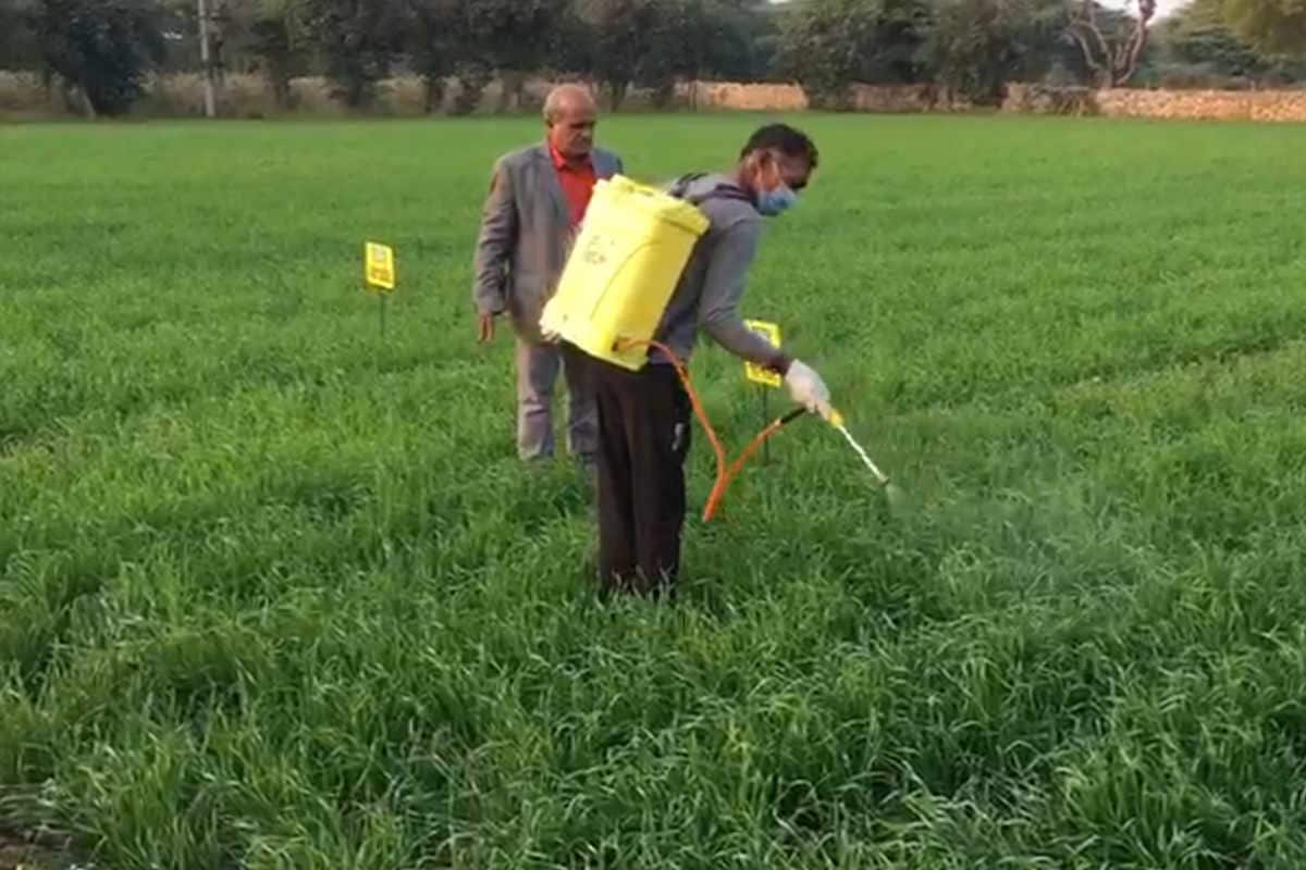 Big News: Spraying Of Fertilizers Will Now Be A Thing Of The Past, Iffco  Brought World'S First Nano Urea For Farmers - Stuff Unknown