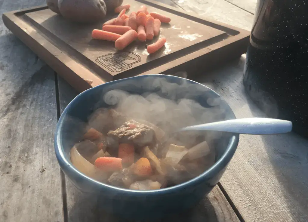 Steaming bowl of stew with carrots and beef.