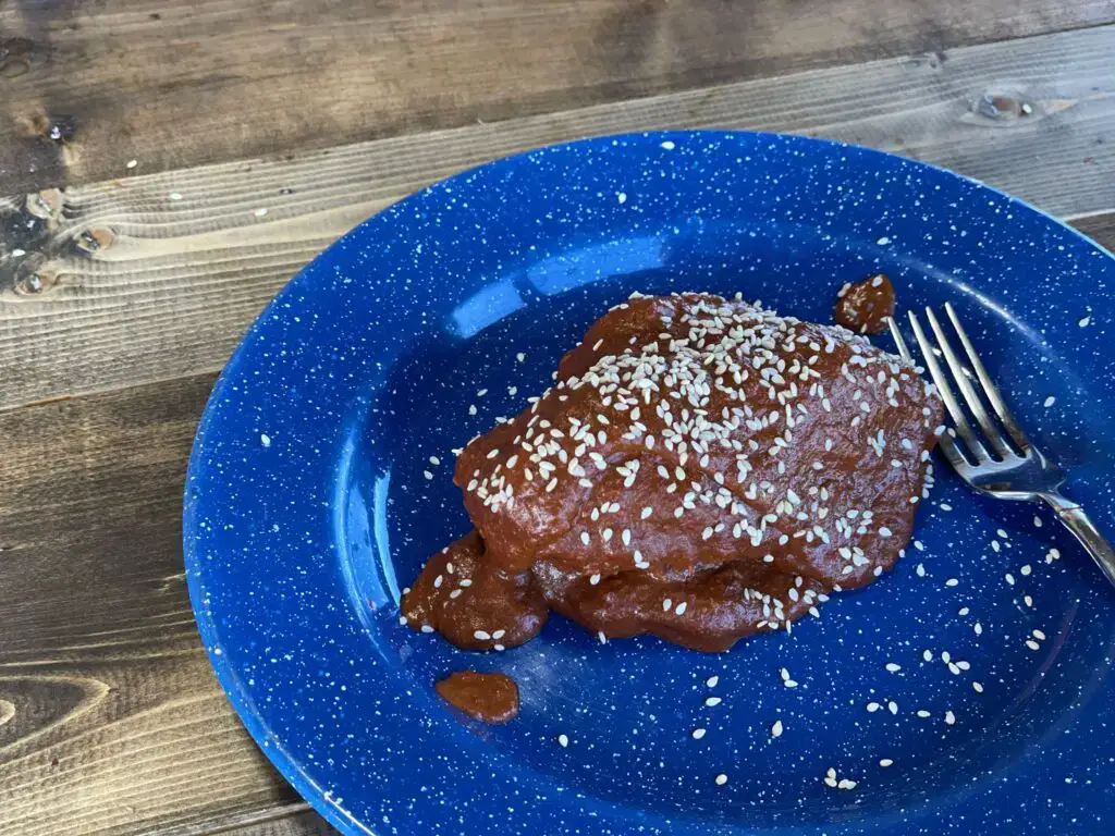 mole-featured-1024x768 A blue plate with some food on it