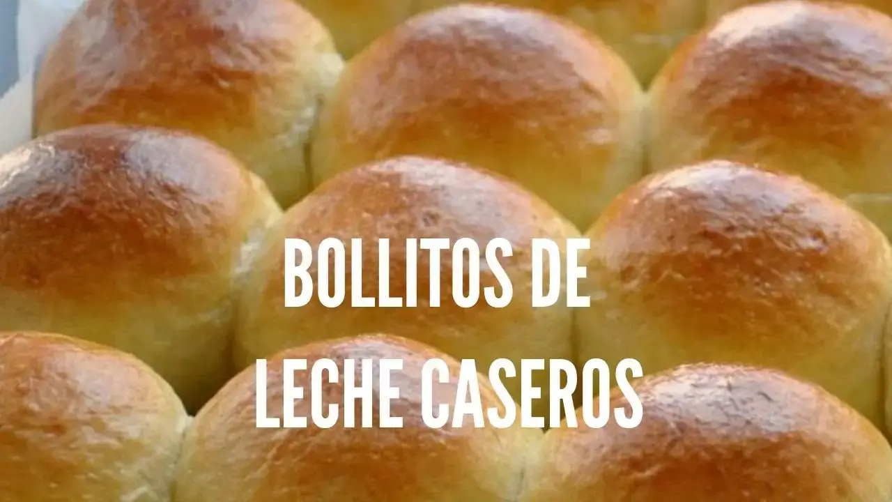 Descubre la receta fácil para hacer bollos caseros deliciosos en casa -  Laganini