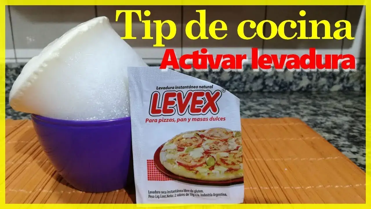 Descubre los secretos de la perfecta masa con Levex: cómo usar la levadura  seca - Laganini