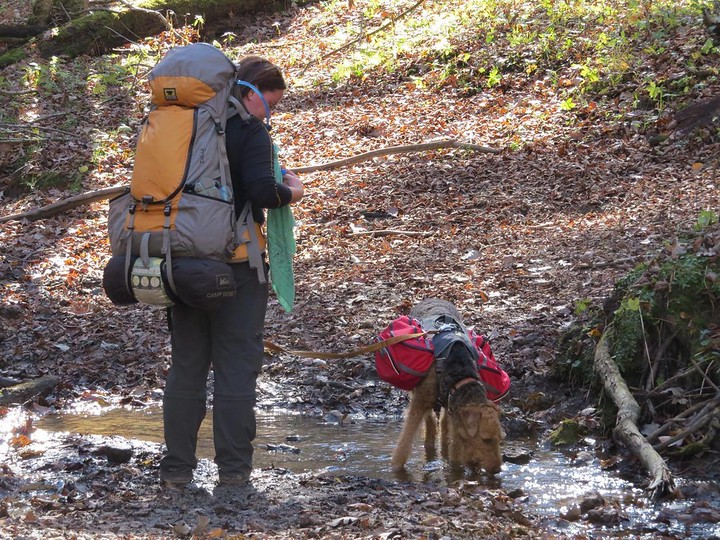 Ruffwear Palisades Pack Review Campfires Concierges