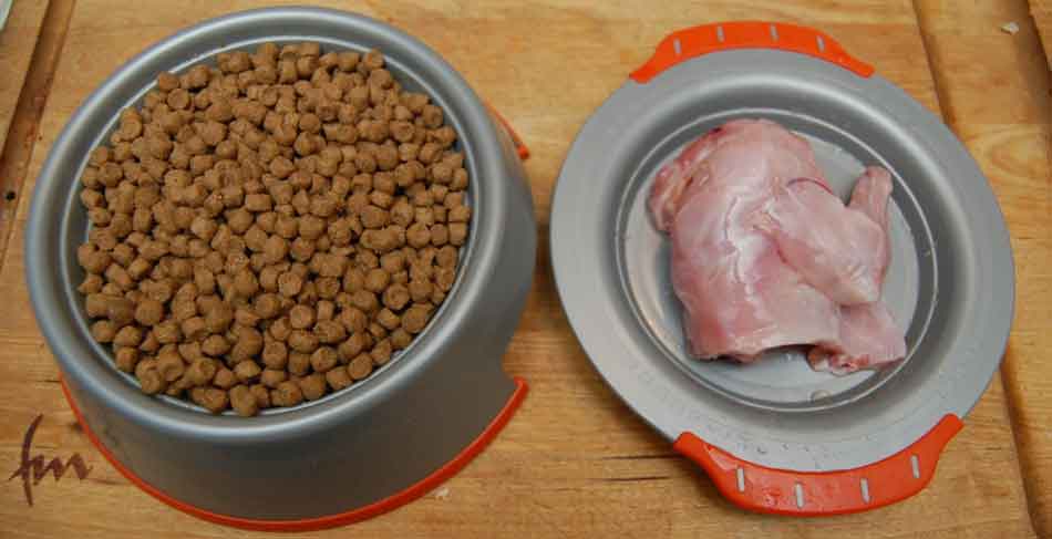 dry food bowls with raw cat food