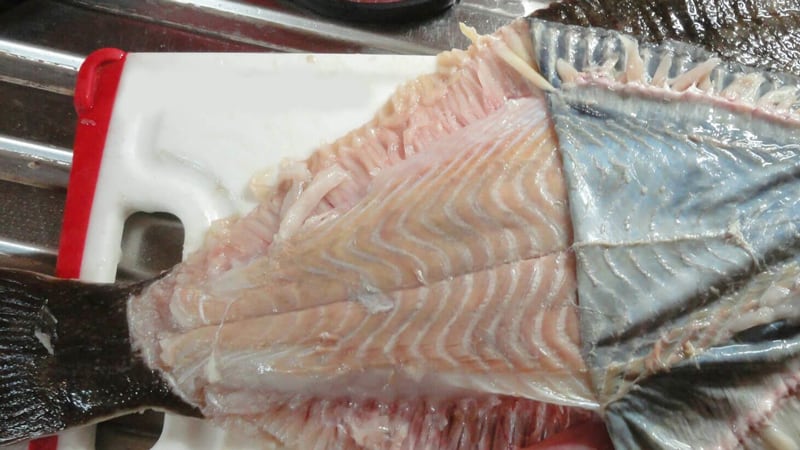Flounder Cleaning ways