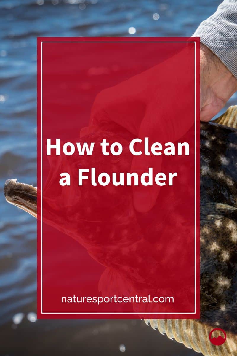 How to Clean a Flounder