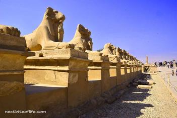 Blog - Explore Luxor