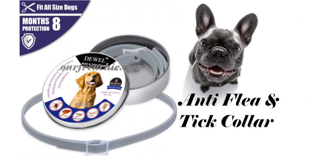 Seresto Anti Flea Tick Frenchie Collar Review OurFrenchie