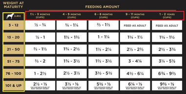 Full French Bulldog Feeding Guide OurFrenchie