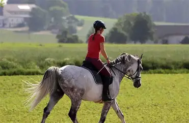 Horse Riding When Pregnant: Can You Ride? Risks, Benefits, Miscarriage Horse Riding When Pregnant: Can You Ride? Risks, Benefits, Miscarriage