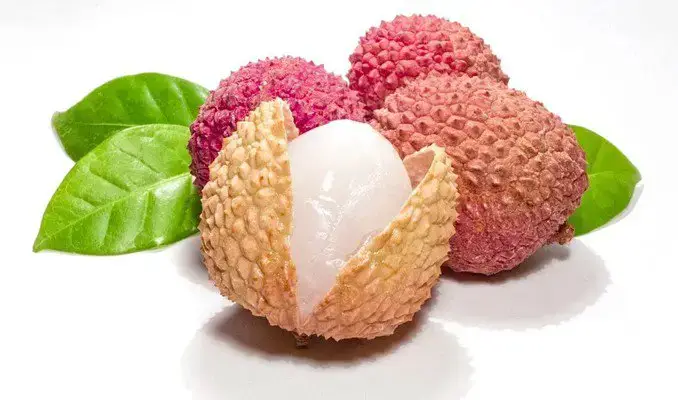 How Long Does Lychee Last Pantry Tips