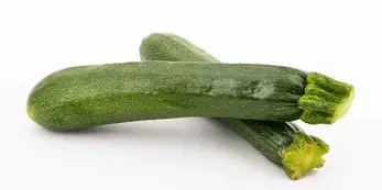 How Long Does Zucchini Last? Keep Summer Squash Fresh Longer – Pantry Tips How Long Does Zucchini Last? Keep Summer Squash Fresh Longer – Pantry Tips