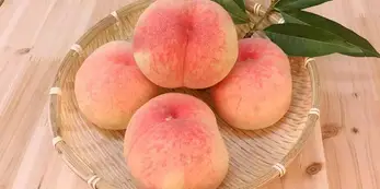 How Long Do Peaches Last? – Pantry Tips How Long Do Peaches Last? – Pantry Tips