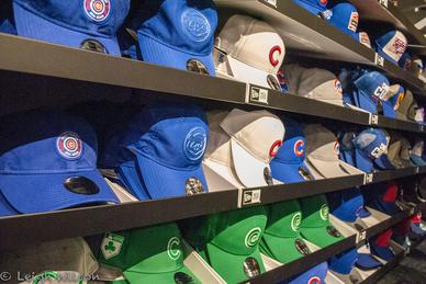 chicago cubs spring training store