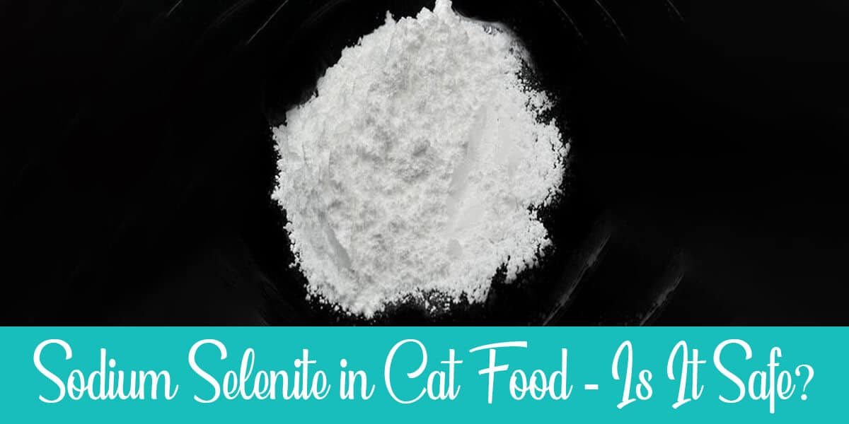 Is the sodium selenite in cat food safe?