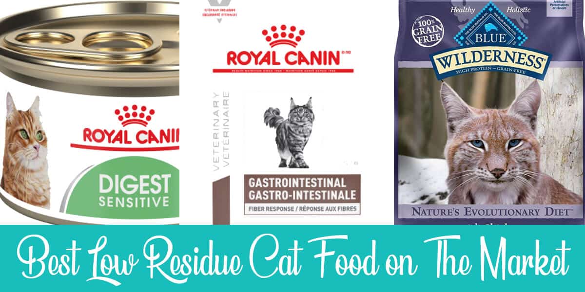 Low Residue Cat Food