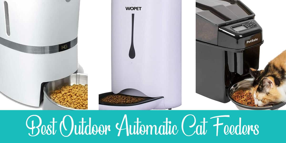 Outdoor Automatic Cat Feeders