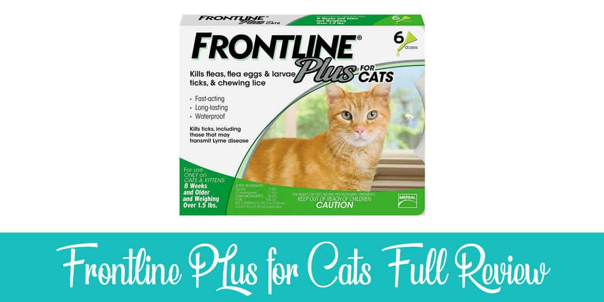 Frontline Plus for Cats Review
