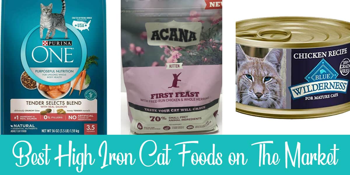 High Iron Cat Foods