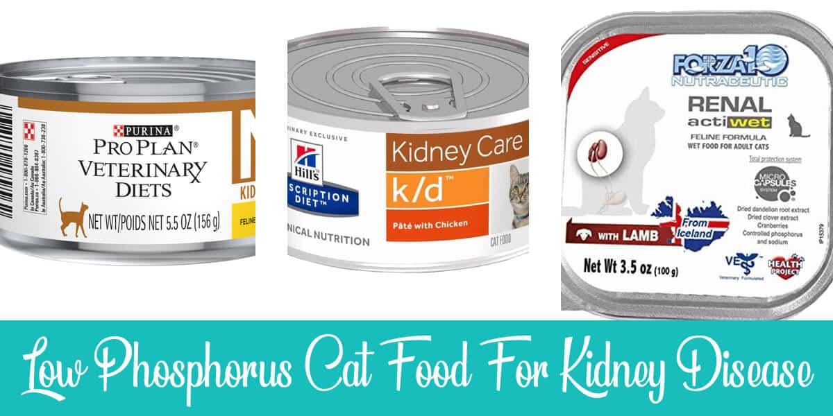 Low phosphorus cat food for kidney disease