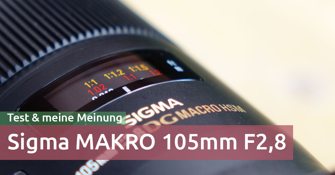 Sigma MAKRO 105mm F2,8 EX DG OS HSM in der Praxis – Test & meine Meinung