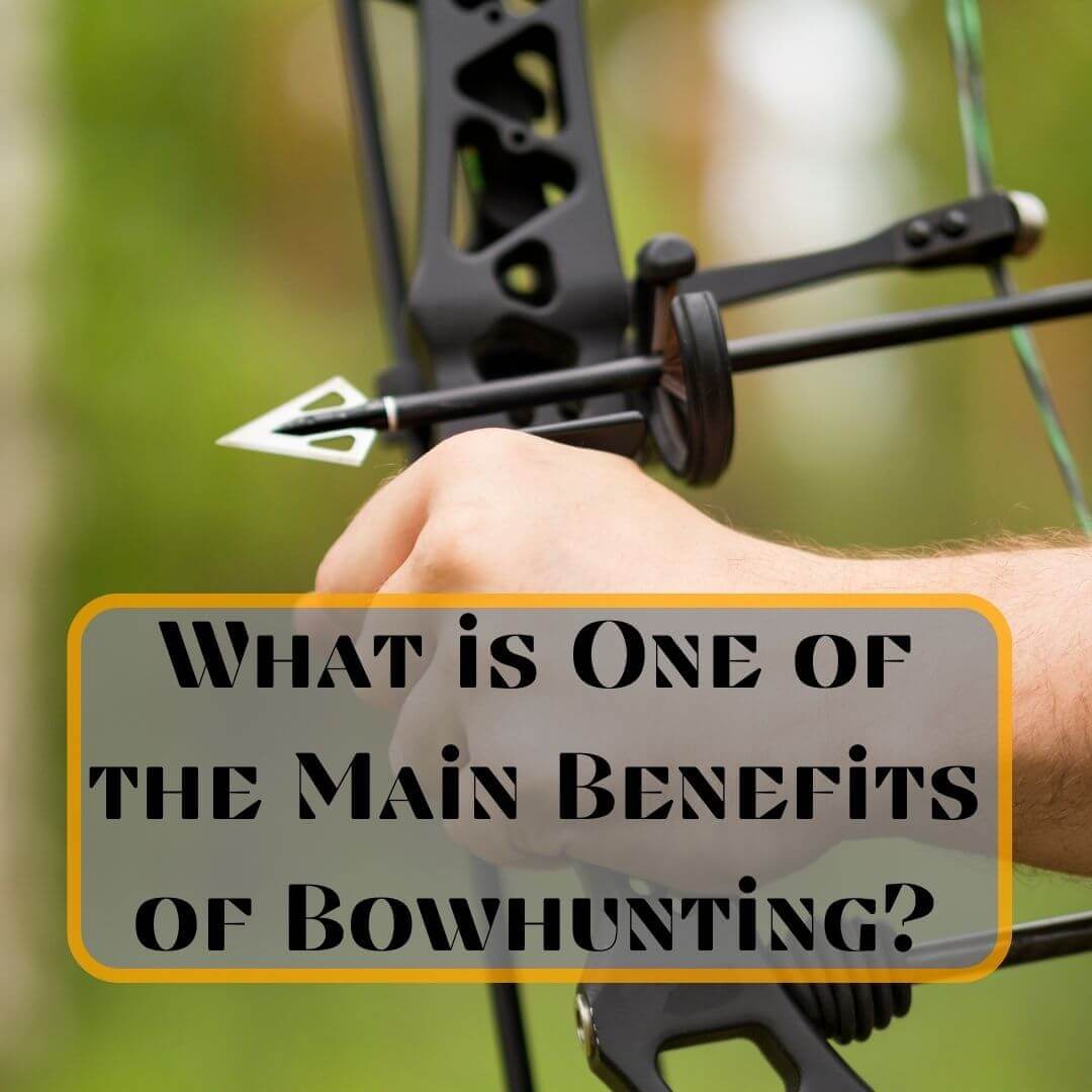 What is One of the Main Benefits of Bowhunting?