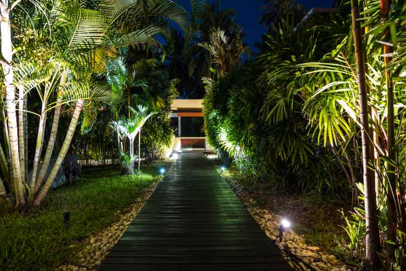 The 7 Best Solar Outdoor Spotlights, Best Solar Spotlights For Palm Trees