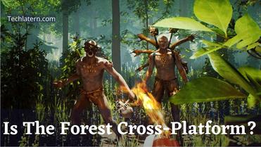 Is The Forest Cross-Platform? 2023 (PC, PS4, PS5, Switch)