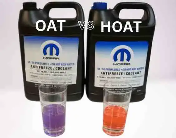 HOAT vs OAT