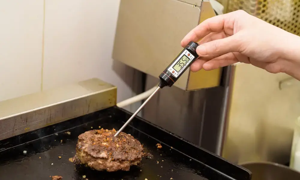 https://sf.ezoiccdn.com/ezoimgfmt/thermomeat.com/wp-content/uploads/2018/12/Can-You-Use-a-Meat-Thermometer-for-Oil.jpeg?ezimgfmt=ng%3Awebp%2Fngcb1%2Frs%3Adevice%2Frscb1-2